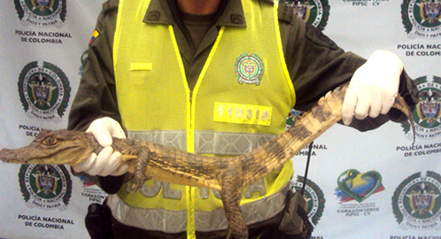 educacion ambiental