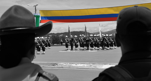 luto compañeros
