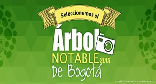 arbol-concurso