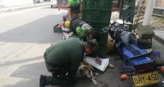 Policía ayudando un perro