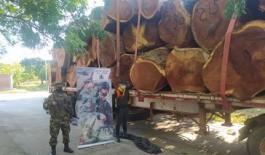 Continuamos con fuertes controles al transporte ilegal de madera en el Cesar Madera incautada