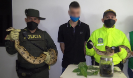 Capturado por ilícito aprovechamiento de los recursos naturales Mediante-diligencia-de-registro-y-allanamiento-se-logro-la-aprehensión-de-varias-especies-en-el-municipio-de-Dosquebradas