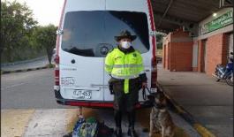 Canino detectó arma de fuego en maleta de viaje Canino detectó arma de fuego en maleta de viaje