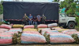 En Necoclí tres personas capturadas por el delito de conservación o financiación de Plantaciones Durante el procedimiento se inmoviliza un vehículo y más de 9 mil tallos