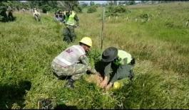 En Puerto Asís 800 árboles fueron plantados sobre la vía al muelle de la Esmeralda En Puerto Asís 800 árboles fueron plantados sobre la vía al muelle de la Esmeralda
