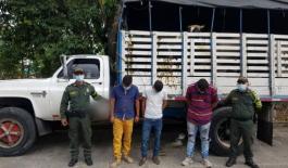 Ofensiva contra el hurto sobre cabezas de ganado en el Meta Ofensiva-contra-el-hurto-sobre-cabezas-de-ganado-en-el-Meta