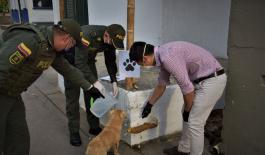 Juntos por nuestros “peluditos“ en el Huila punto_de_comida_en_la_estacion