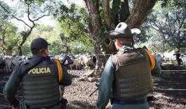 Golpe contundente contra el abigeato en Arauca
