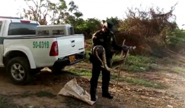 Rescate de Boa Compromiso con la fauna