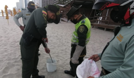 Rescate-de-serpiente-Mapaná-en-playas-de-bocagrande Rescatamos una serpiente Mapaná en playas de Bocagrande