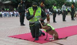 La Policía Nacional conmemora la primera ceremonia de caninos y felinos en la heroica La Policía Nacional conmemora la primera ceremonia de caninos y felinos en la heroica