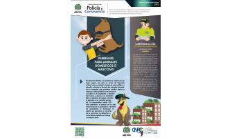 El artículo del día: Comisión de seguimiento El artículo del día: Comisión de seguimiento