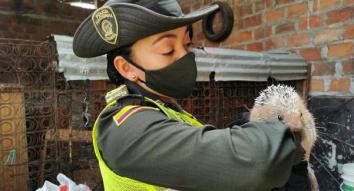 Lideramos campaña “una especie silvestre no es mascota” Lideramos-campaña-una-especie-silvestre-no-es-mascota-1