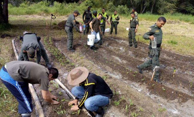 capacitados por el sena en agricultura