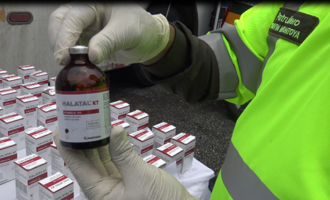 Ocultos en un bus de servicio público, transportaban 254 frascos de Ketamina  | Policía Nacional de Colombia