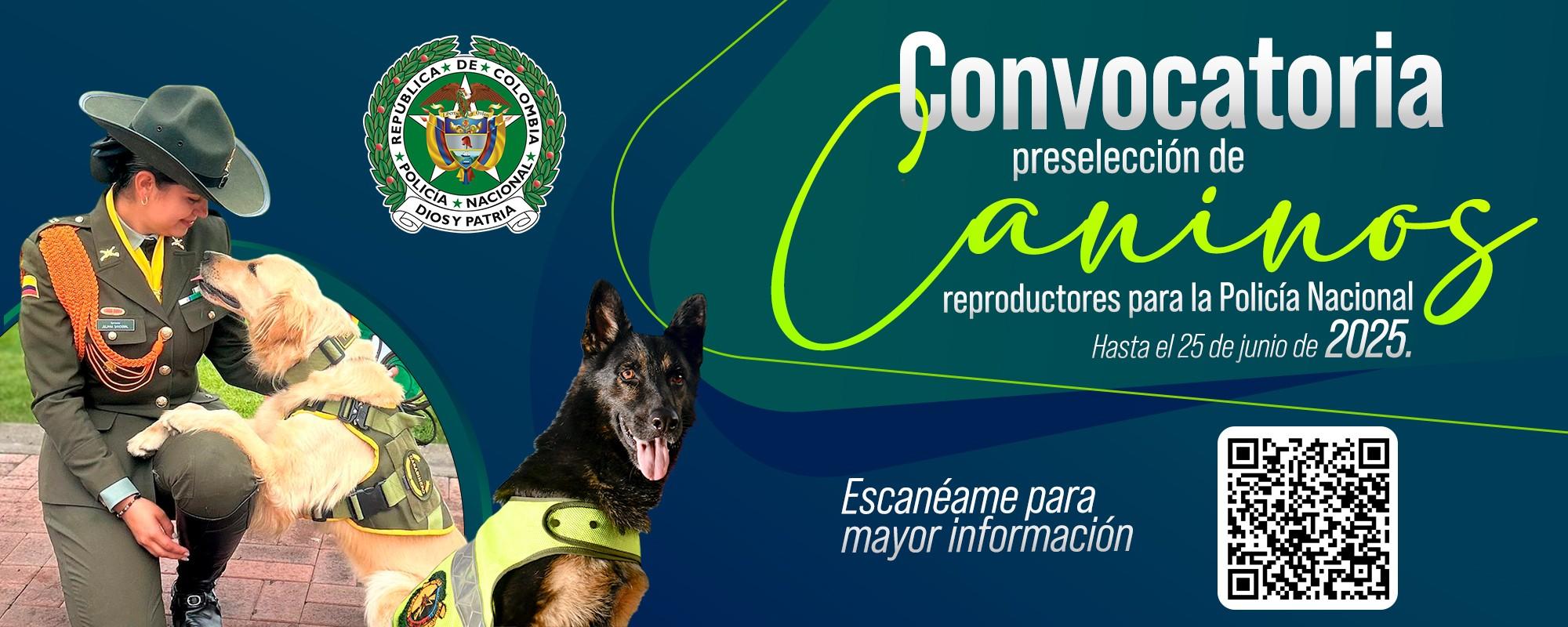 Convocatoria de preselección de caninos reproductores para la Policía Nacional