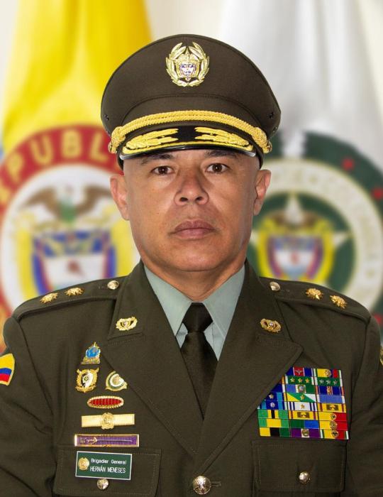 Hernan Alonso Meneses Gelves