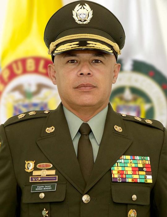 Hernán Alonso Meneses Gelves