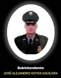 Subindente JOSÉ ALEJANDRO GOYES AGUILERA